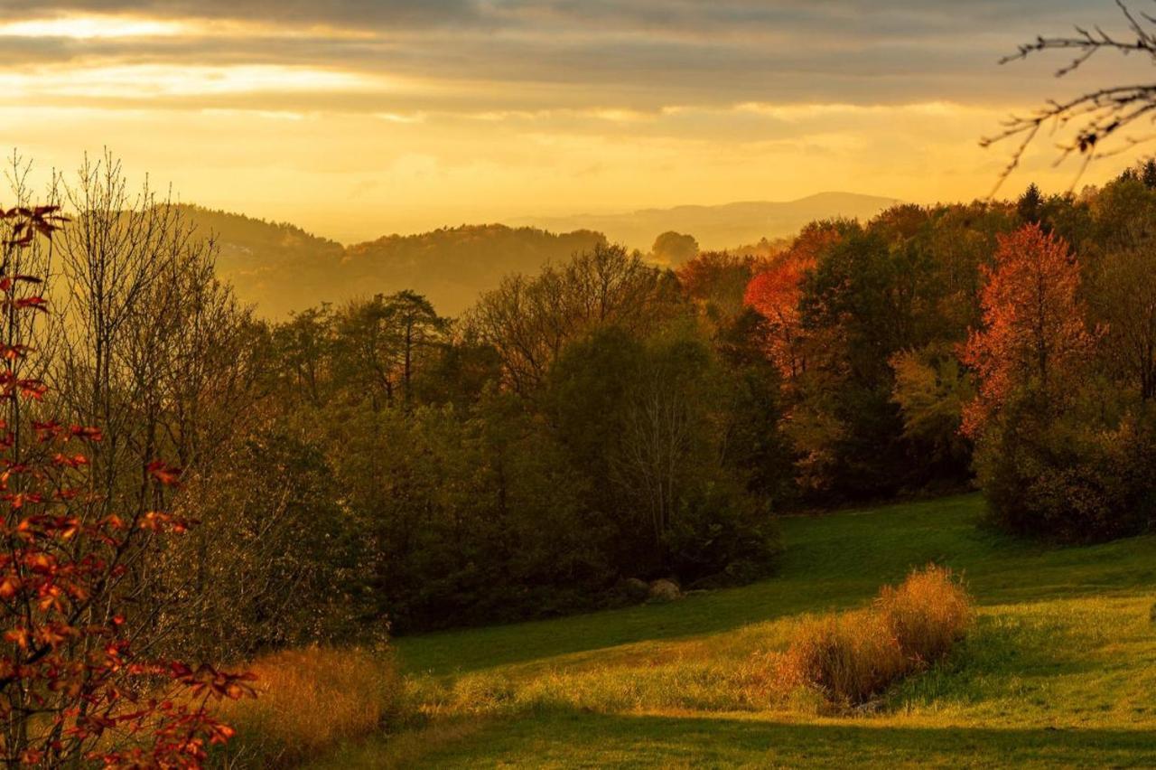 Ferienwohnungen Bauer - Auszeit Mit Ausblick Zenting Екстериор снимка