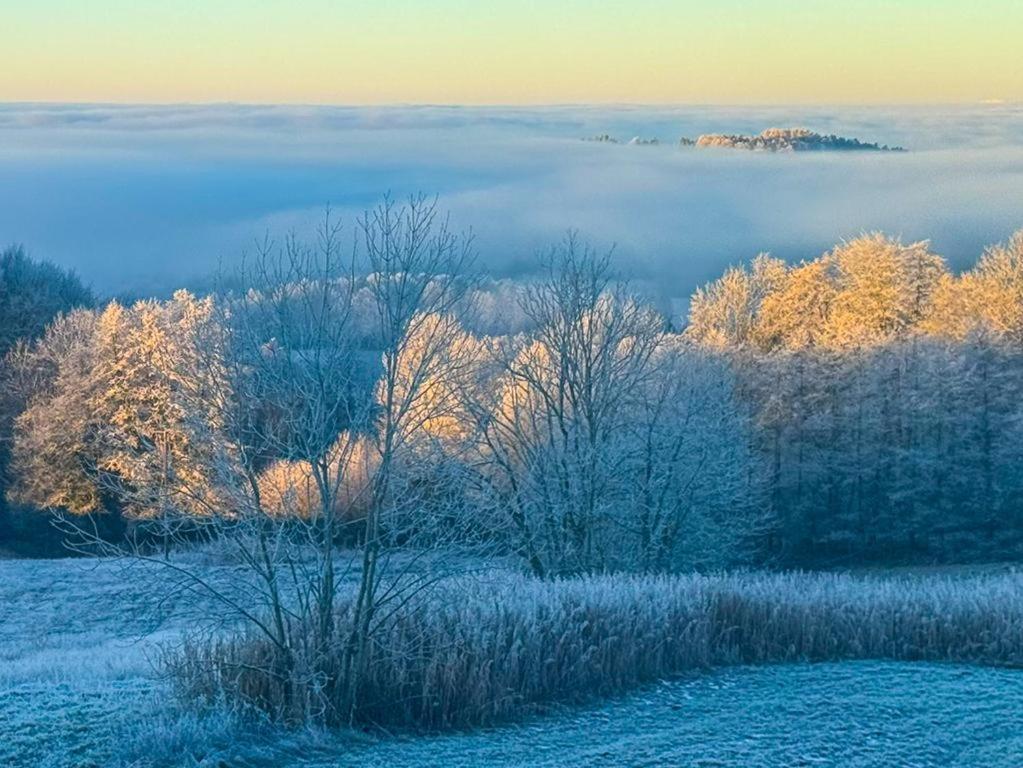 Ferienwohnungen Bauer - Auszeit Mit Ausblick Zenting Екстериор снимка